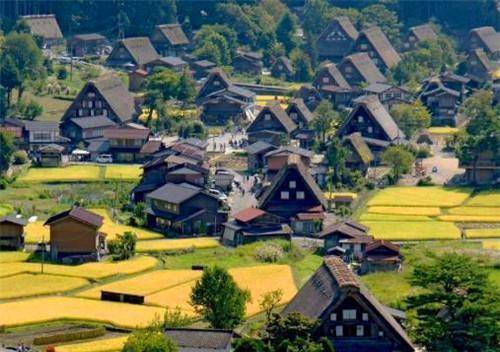 原创印度一古老村庄全村237人长得一模一样专家至今难以解释