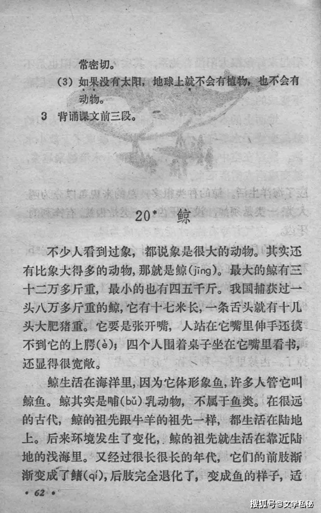 原创小学课文鲸的作者之谜扑朔迷离大连天健网助力作者寻踪