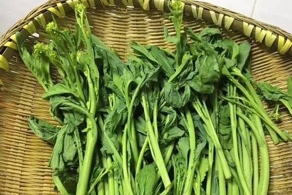 冲菜:一道美味的川西农家下饭菜_芥菜_食用_鲜花