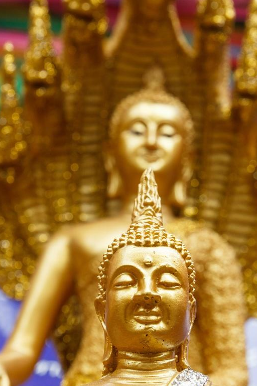 历史上的佛教对现在有什么样的影响?_素食_原因_生命