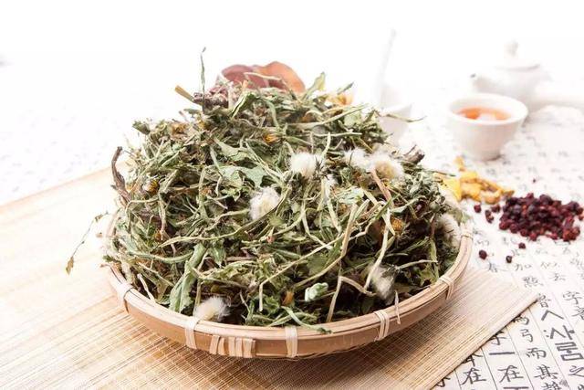 原创蒲公英的黄金搭档被发现搭配泡水喝肝变净胃也舒坦了