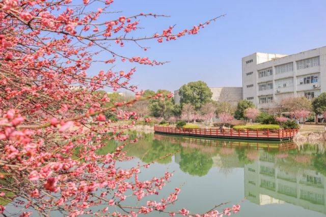 湖北经济学院是一本吗?湖北省第二!当然是一本_高校_办学_大学