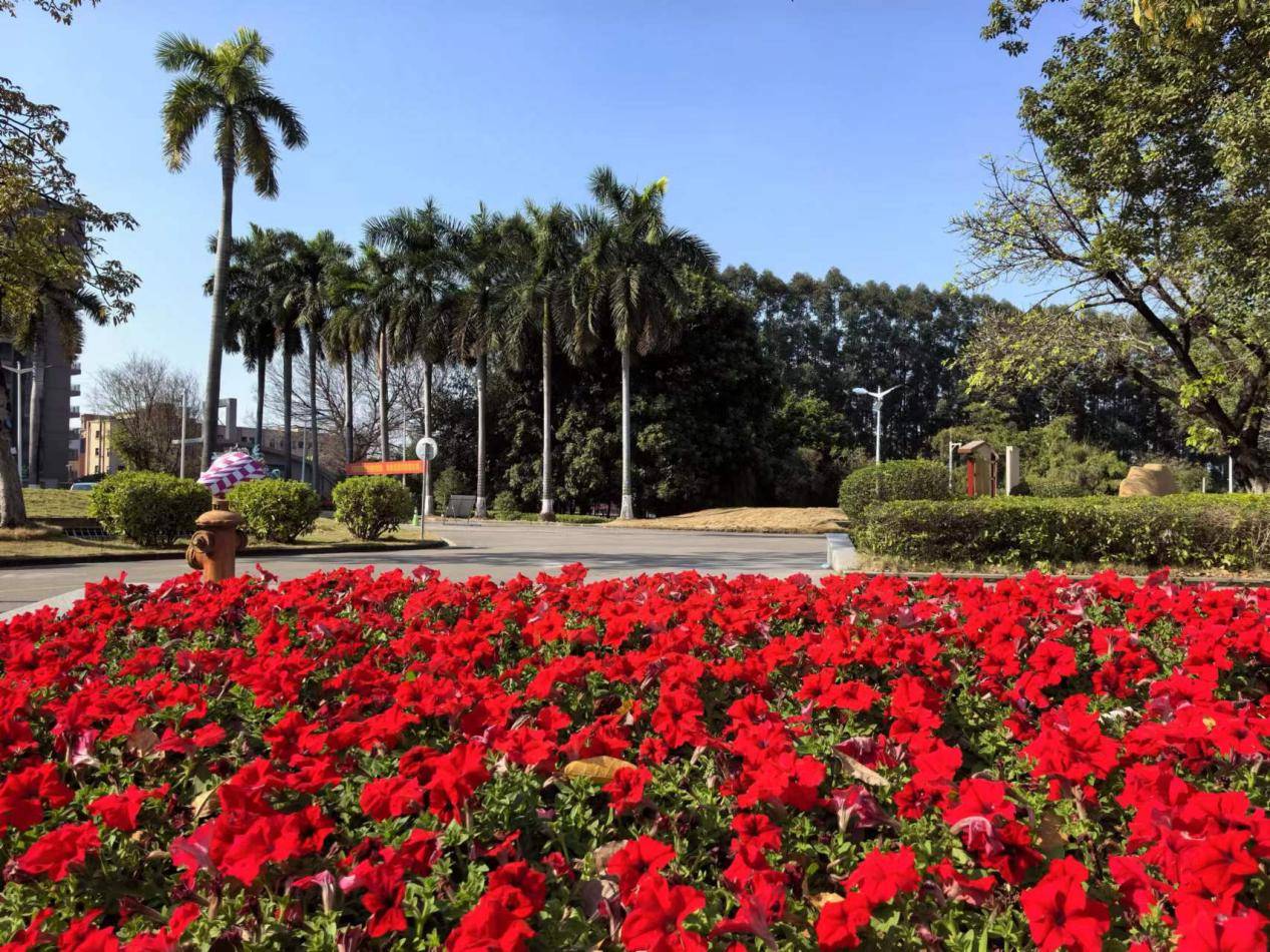 东莞首个成瘾医学科正式成立帮助更多人科学戒瘾重塑健康人生