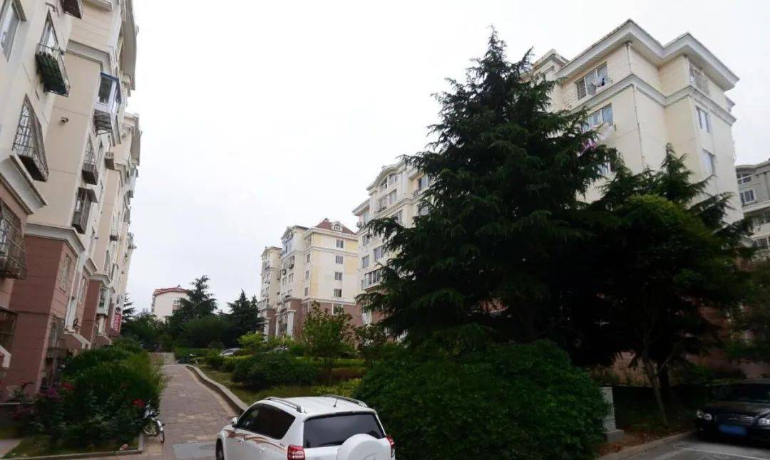 崂山金岭新村办证有望已初步拟定土地和房屋化解方案