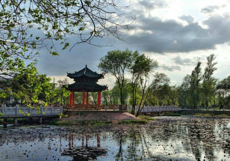 原创在哈尔滨也能看到江南园林景致不输苏州拙政园但却鲜少人知
