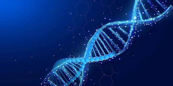 [上海红睦房中城医院]cma在临床诊疗中的应用_检测_染色体_分析