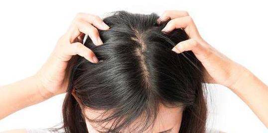 洗头时最常见的4大"误区",很多人都在犯,难怪头"大把掉"_头发_女生