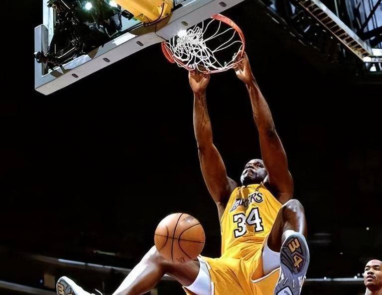 奥尼尔是傻大个?并非如此,拿到了博士学位,有大智慧_篮球_学术_领域