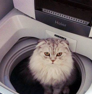 原创搞笑图片幽默段子笑话媳妇你把马桶锁起来干嘛急死我了