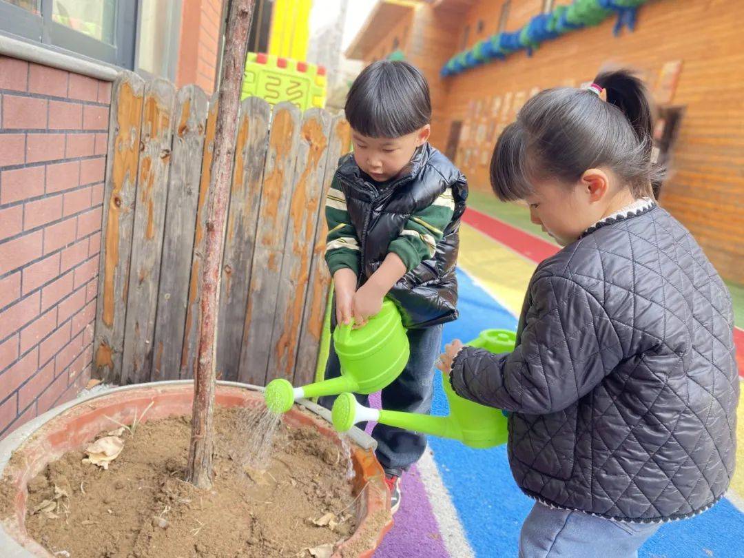 植此青绿 共树未来——爱乐美觉幼儿园植树节活动