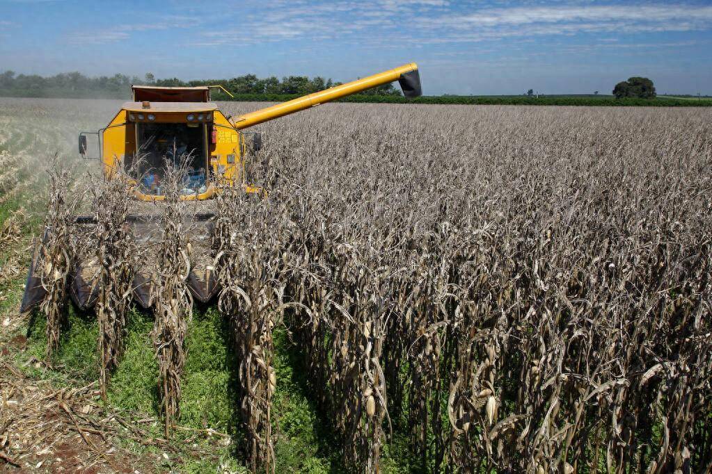 3月份巴西降雨量低于平均水平可能会影响玉米和棉花