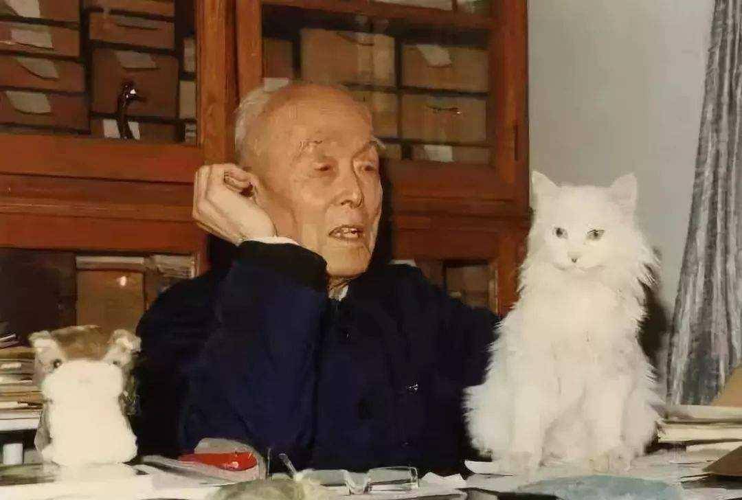 原创季羡林晚年百病缠身为何平安活到98岁三不养生术不可忽视