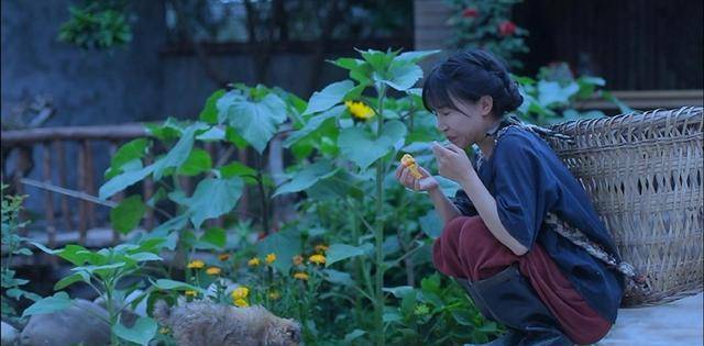 助理也回应由于他人的恶意骚扰,李子柒被迫"无限停更"