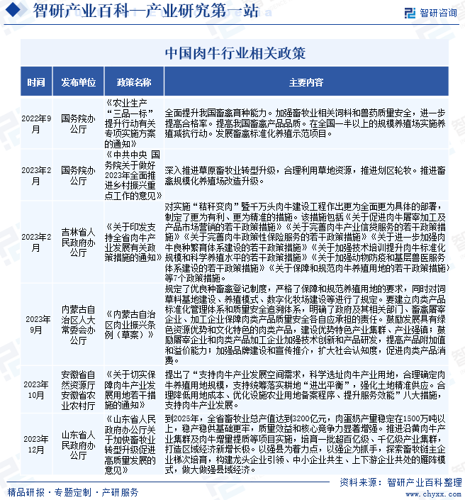 原创中国专业的产业知识平台智研产业百科词条121肉牛