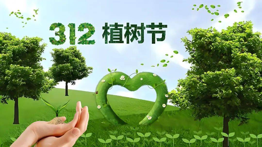 植树节特辑原来这些常见绿植竟也是一味中药材