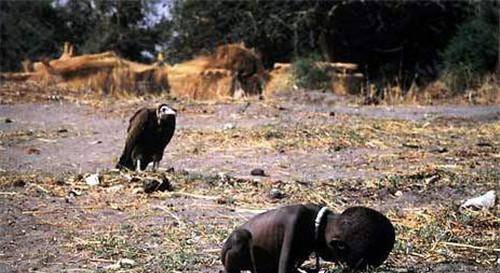 内容并不多,却将苏丹战争下的饥饿,贫穷,以及人和自然的对弈淋漓尽致