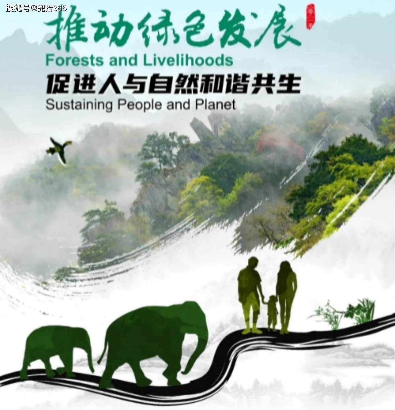 首先,应该加强对野生动物的保护意识,尊重它们的生存空间.