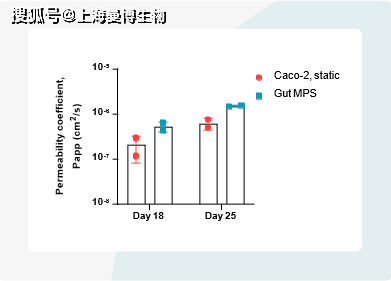 利用肠道微生理系统预测人体药物渗透性微流控器官芯片曼博生物