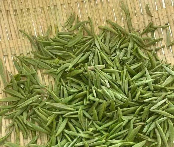 细数茶叶中的各种青