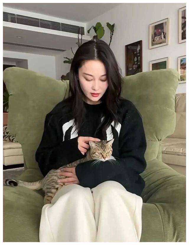 张馨予分享家猫萌照复古婚房内景何捷低调出镜