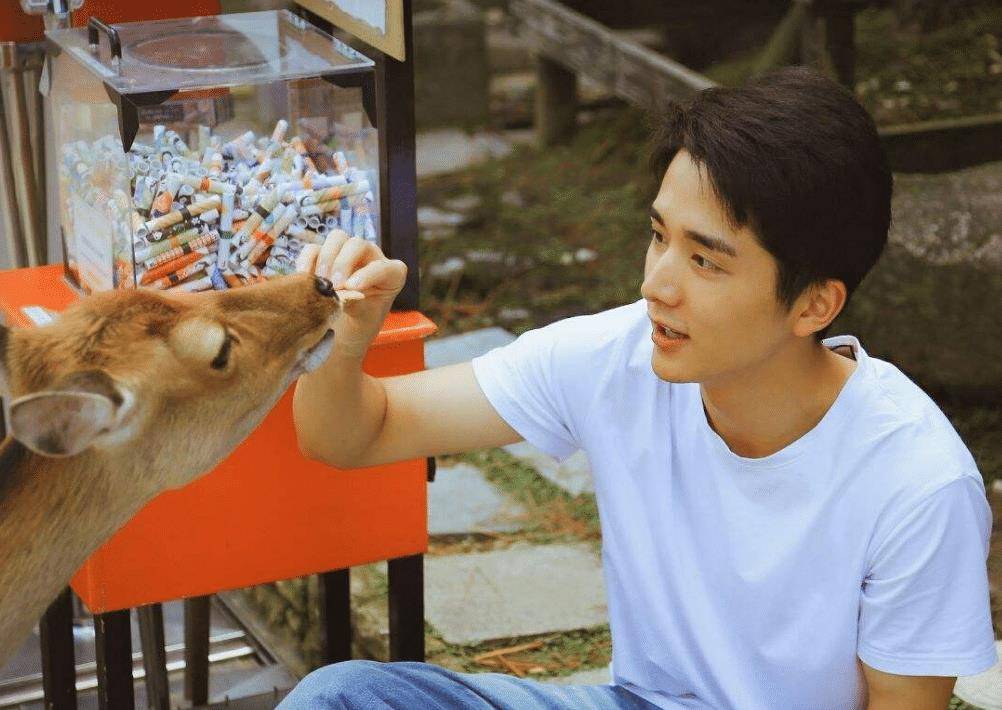 原创张新成笑起来太好看了有颜又有实力演技挺不错的