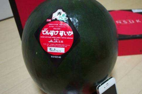 原创世界上4种天价水果车厘子落榜最后一种像在吃豪车