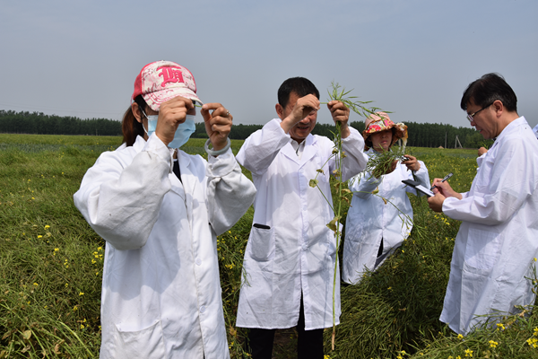 最美兴农人记河北省农技推广先进个人衡水市阜城县土肥站站长李芳