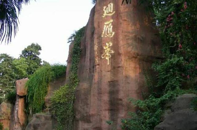 十三寇这边刚发动攻势,便被独孤康击中了三人的手腕,三件兵器落地.