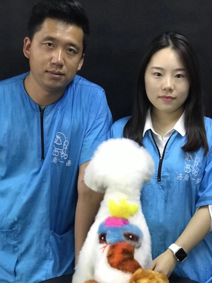 原创选择宠物美容学校的时候有哪些坑呢