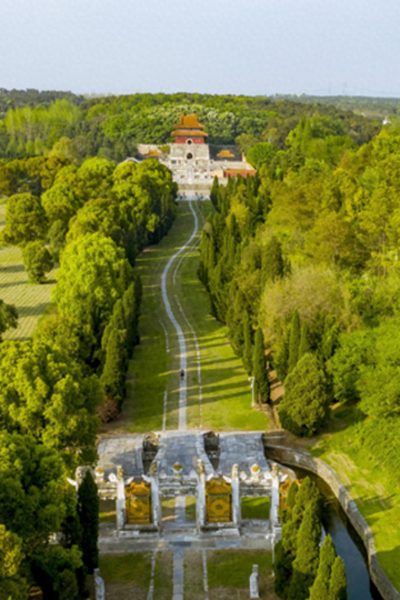 原创你的坟我挖了