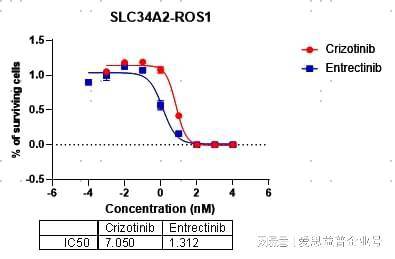 细胞增殖测试|细胞增殖实验|parg抑制剂筛选服务|细胞增殖筛选