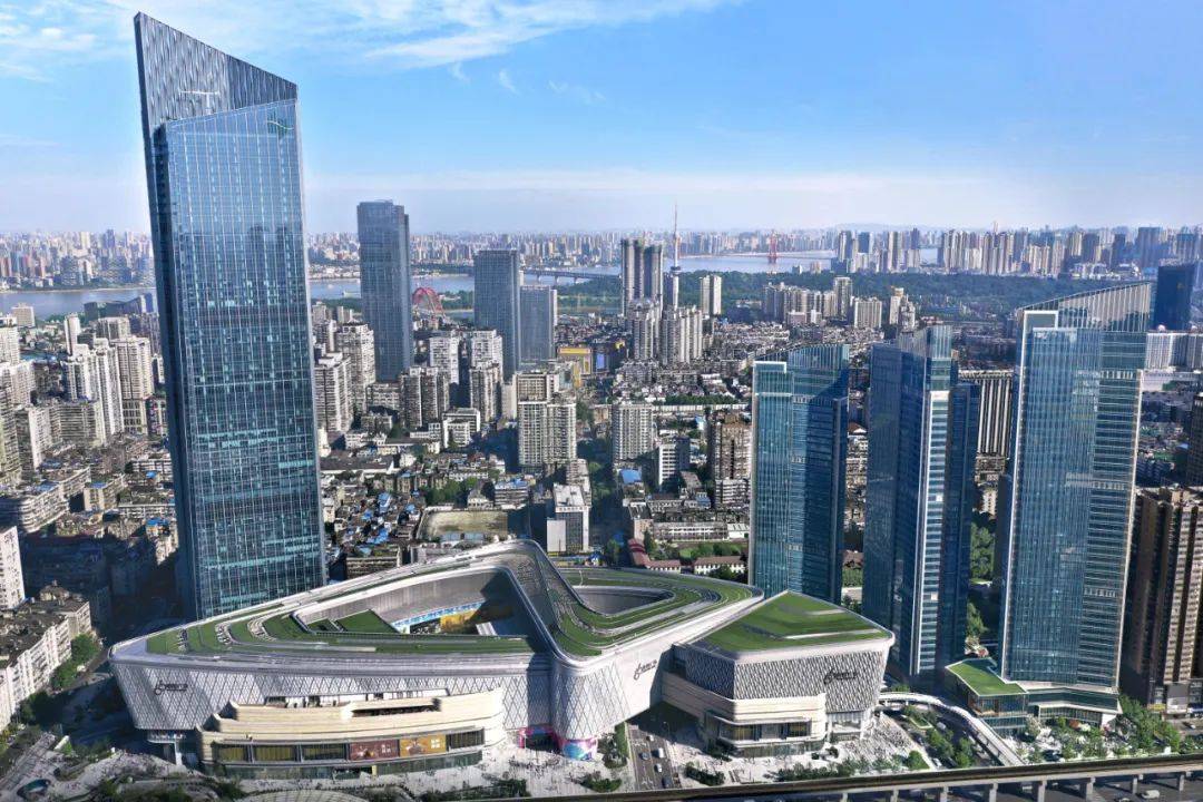 外国语学校,十一中,崇仁路小学,万松园小学等;商业方面有武汉恒隆广场