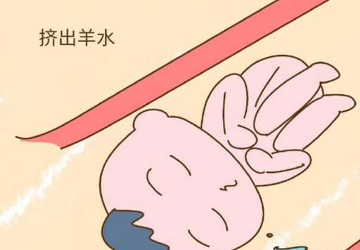 胎儿_尿液_羊水