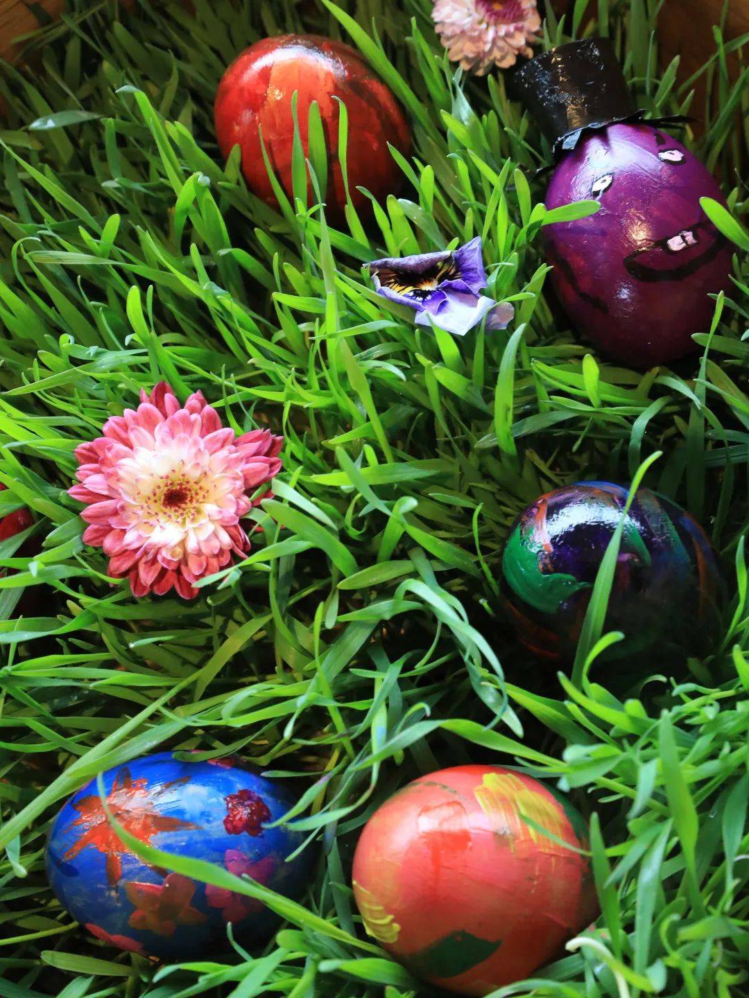 easter不来参加捣蛋之旅吗