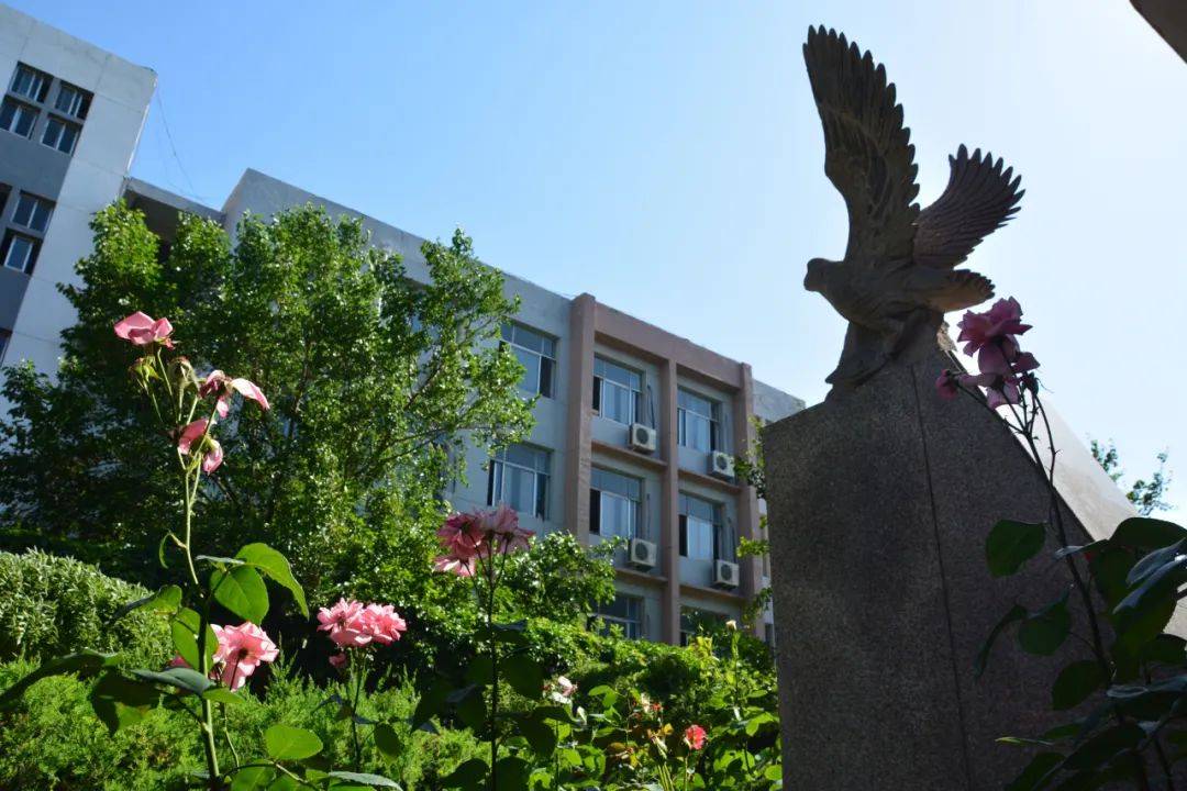 衡水市郑口中学学子心声植树与树人