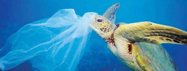 海洋垃圾随着运动向内陆地区移动,对居民的生活资源也会造成污染.