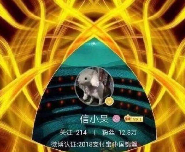 原创那位一夜暴富的支付宝锦鲤女孩挥霍一整年如今现状如何