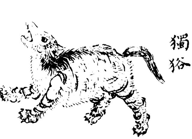 带你了解中国古代小说中所描写的瘟疫