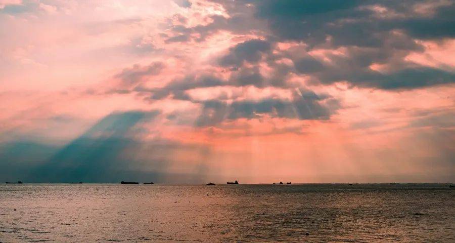 今年家电市场正出现多个极端化现象-家电圈官网