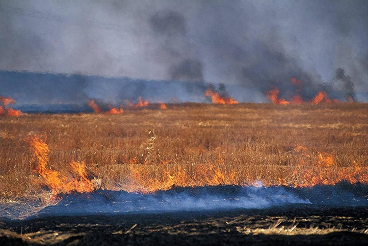 原创欧美国家可以随便烧秸秆为什么中国禁止是不是上了别人的当