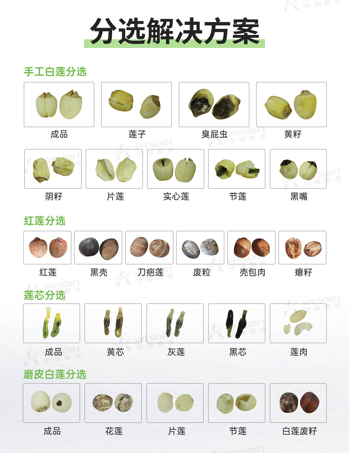深度学习莲子色选机助力提升产品品质_传统_智能化_识别