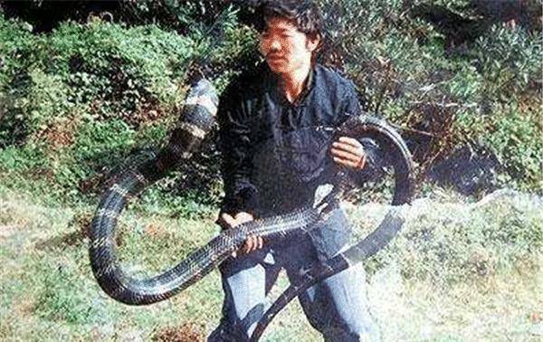 原创被蛇追杀5年的人令人诧异的真实事件他到底经历了什么