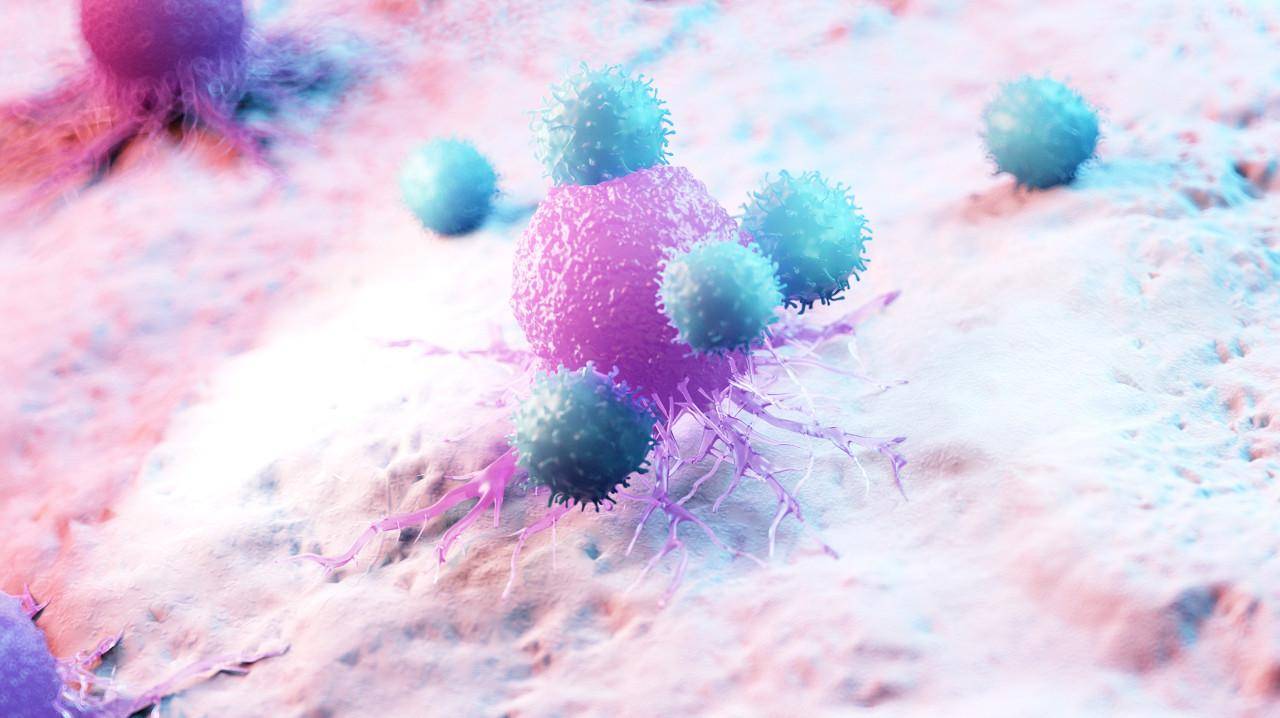 小小细菌竟成就抗癌良方