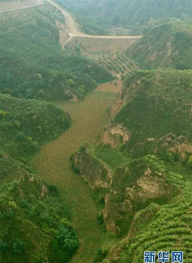 黄河是怎么变成比开封铁塔还高的"悬河"的?