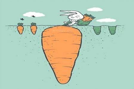 不,也许事实恰恰相反,你付出了不一定得到回报,在你付出的这条道路上