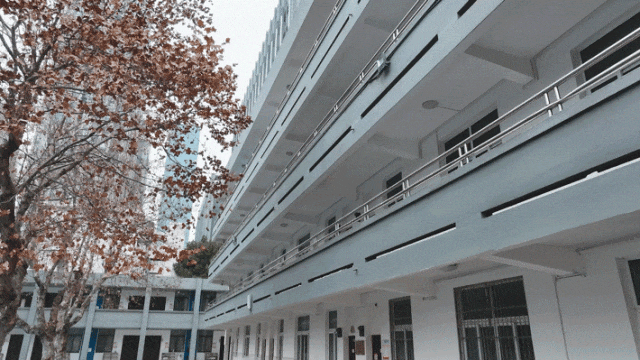 原创2024中考南京市第九中学一所适合城市学生发展的高质量高中