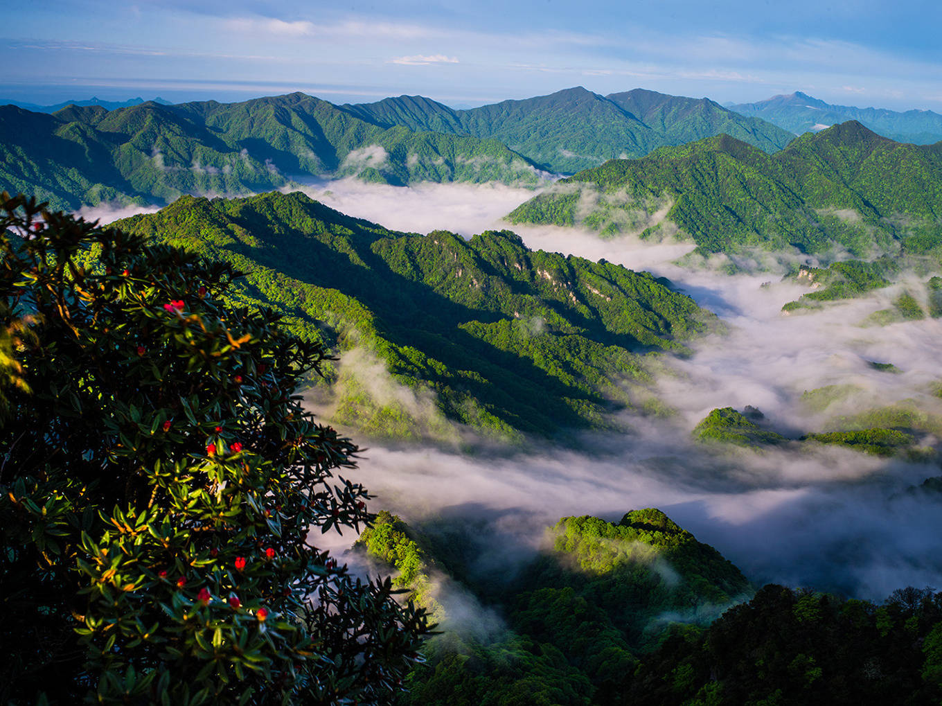 四川哪里最好玩的景点图片