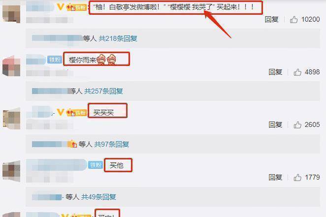 原创没等到你是我的城池营垒却等来白敬亭官宣新身份粉丝要哭啦