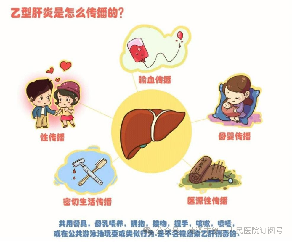 日常接触乙肝患者会被传染吗菏泽三院迎接全国爱肝日小科普二