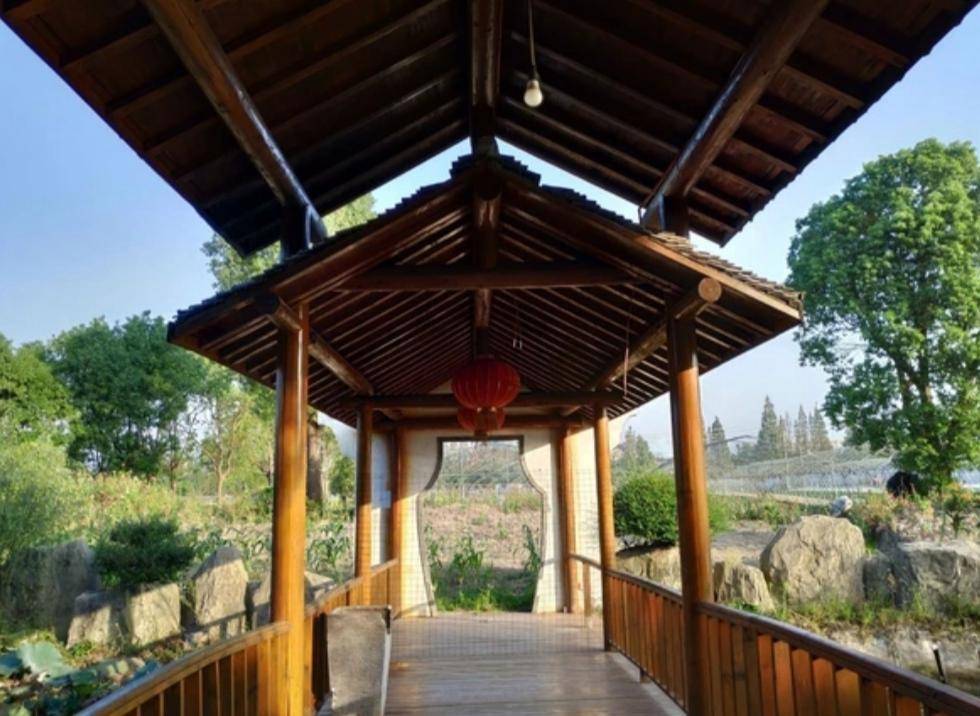原创上海青浦凯博生态园迷人的风景美不胜收